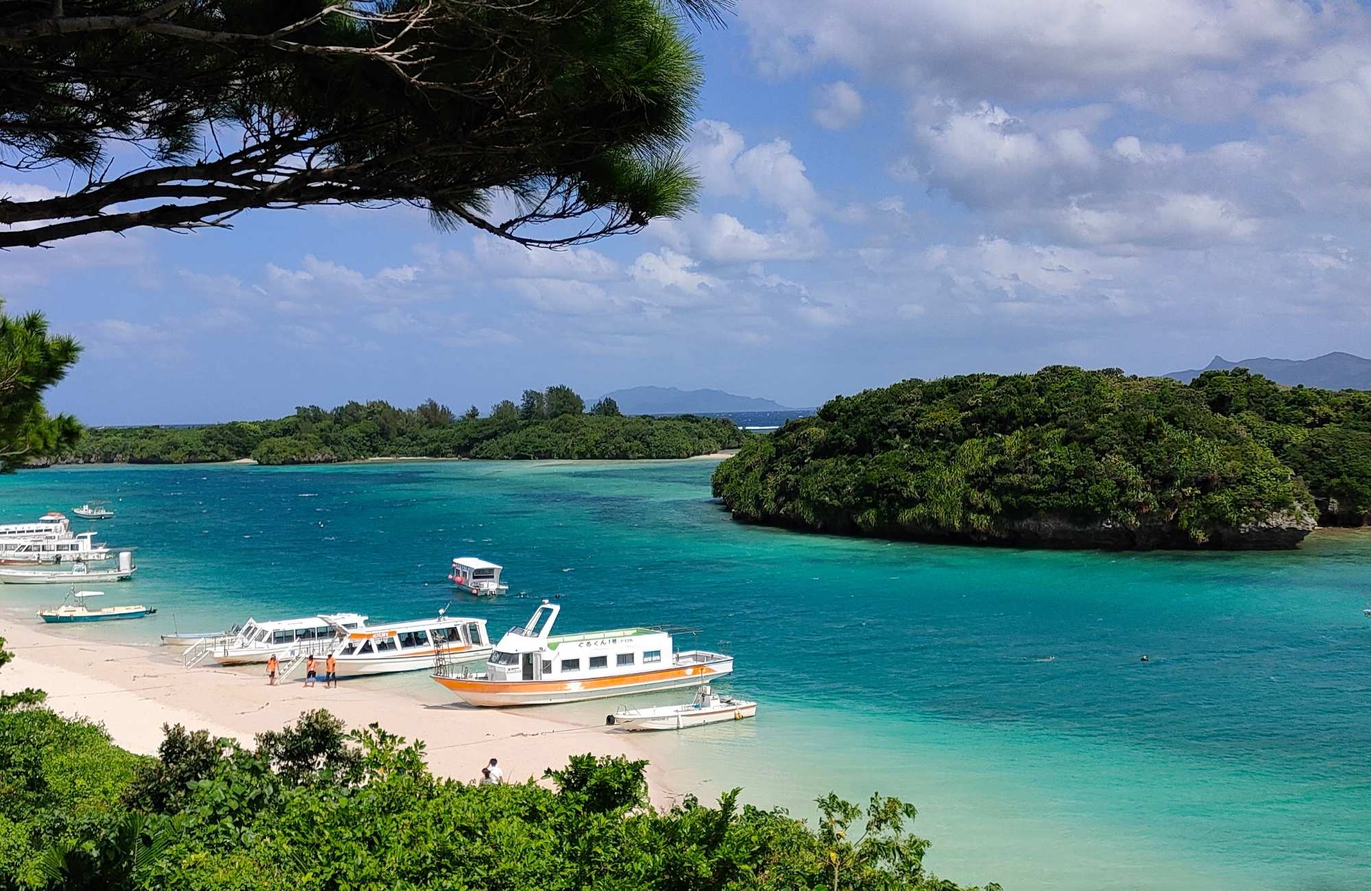 Die natürliche Mineralstoffquelle aus Okinawa