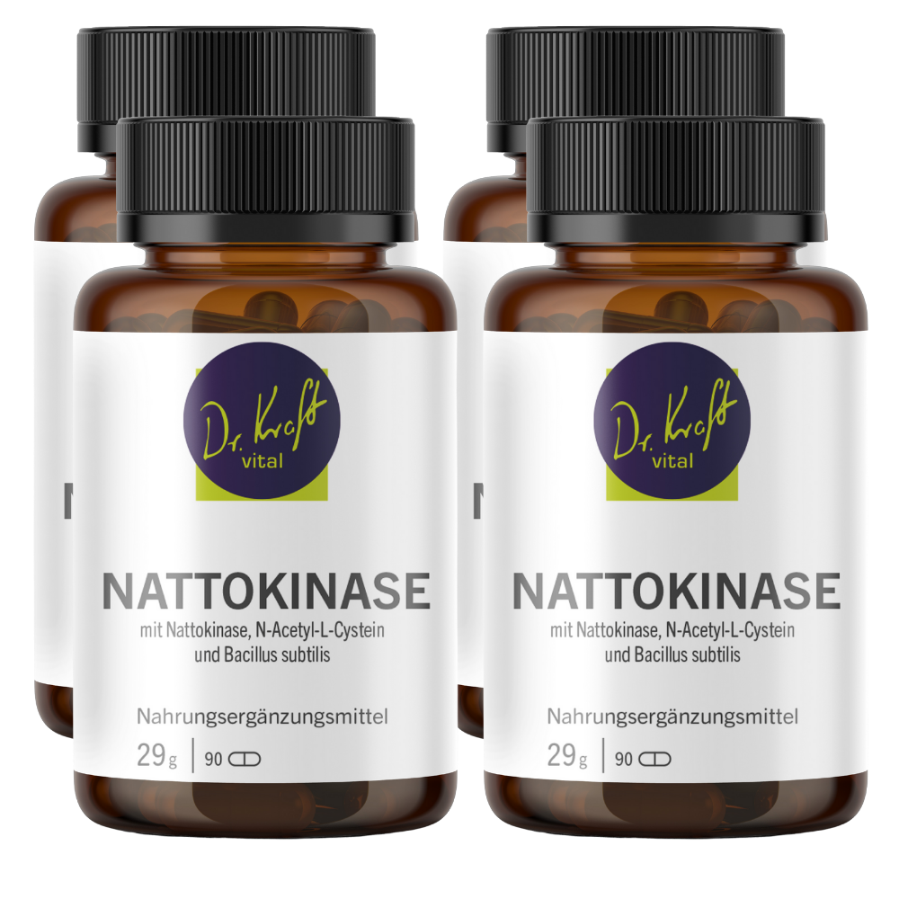 Nattokinase (90 Kapseln)